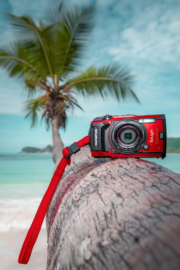 Punainen Canon-merkkinen kamera on palmun rungon päällä ja palmu kurkottautuu kohti taustalla näkyvää merta.
